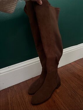 J. Crew Chocolate Brown Suede Knee-High Boots